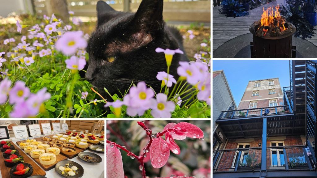 samsung galaxy s23 ultra camera photo examples