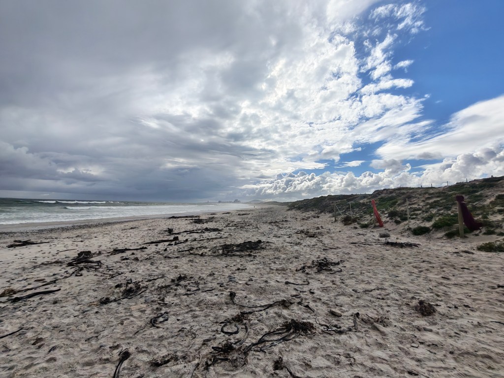 wide angle photo of cloudy beach